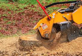 Best Fruit Tree Pruning  in Rutherfordton, NC